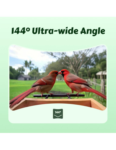 Comedero de Aves Inteligente ABRCT con Cámara Solar 2L