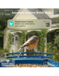 Comedero para Aves Onlyfly con Cámara 2K Solar y AI 2