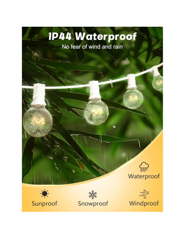 Bombillas Globo G40 Sunsgne 5W E12 C7 25 Unidades