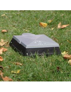 Doggie Dooley 3535 Sistema Ecológico para Desechos de Mascotas 2