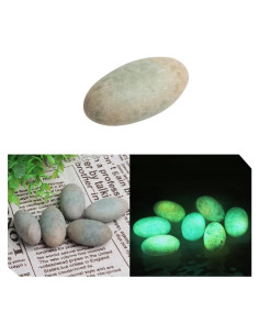 Dzi Bead Brilla en la Oscuridad Acxico Dios de la Riqueza