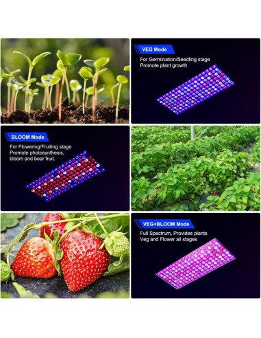 Luces de Cultivo LED WZDRAGON BW1000 Espectro Completo 250W