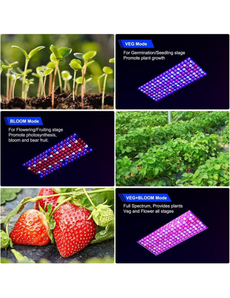 Luces de Cultivo LED WZDRAGON BW1000 Espectro Completo 250W