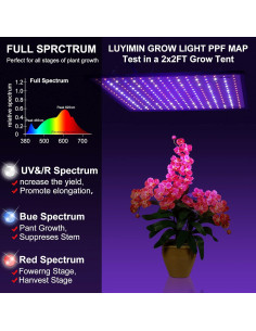 Luz de Cultivo LED 600W LUYIMIN Espectro Completo para Plantas 2