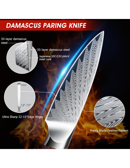 Cuchillo de Pelar HOSHANHO 9.5 cm Acero Damasco Afilado