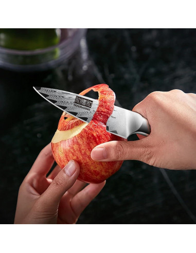 Cuchillo de Pelar HOSHANHO 9.5 cm Acero Damasco Afilado