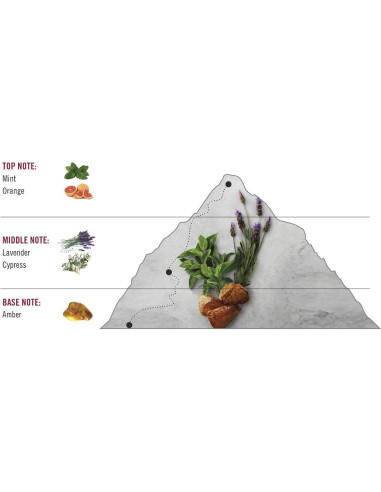 Eau de Toilette Swiss Army Victorinox 100 ml para Hombres