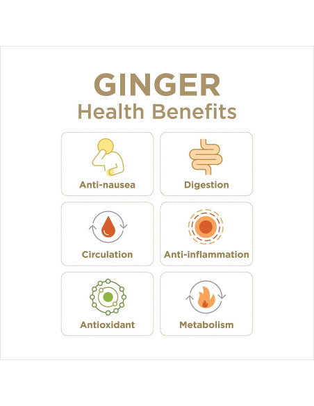 Jugo de Jengibre 99% Puro The Ginger People 946ml - Salud Digestiva