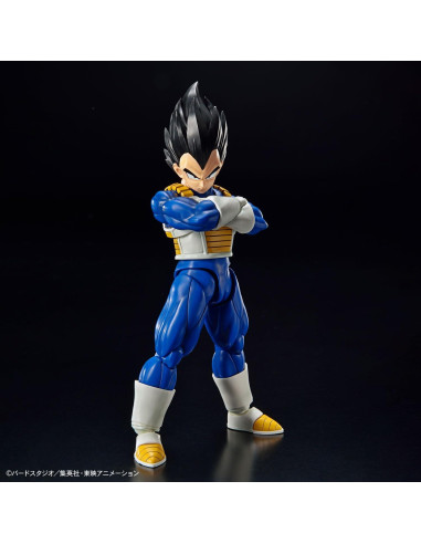 Bandai Hobby - Dragon Ball Z - Vegeta Kit Modelo 19x30x8cm