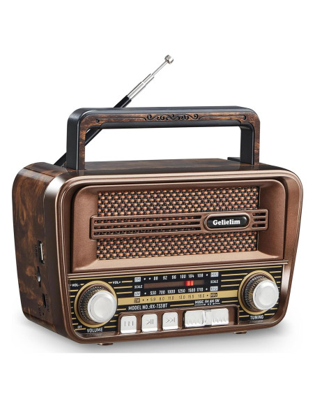 Radio Portátil Gelielim AM FM Bluetooth 5.3 Vintage