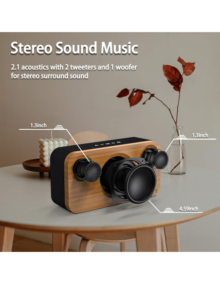 Altavoz Bluetooth Xinborry M10Pro 40W Retro 12h Audio