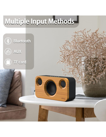 Altavoz Bluetooth Xinborry M10Pro 40W Retro 12h Audio
