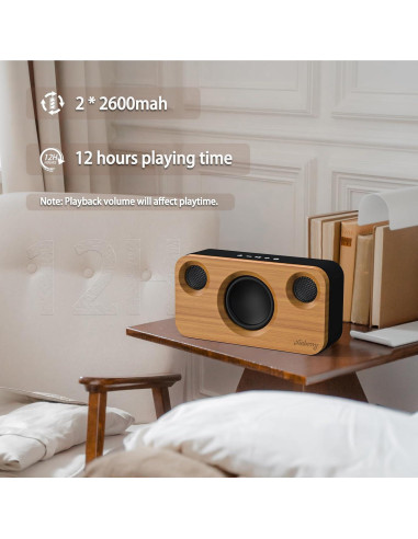 Altavoz Bluetooth Xinborry M10Pro 40W Retro 12h Audio
