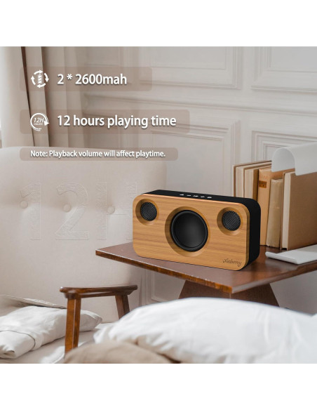 Altavoz Bluetooth Xinborry M10Pro 40W Retro 12h Audio