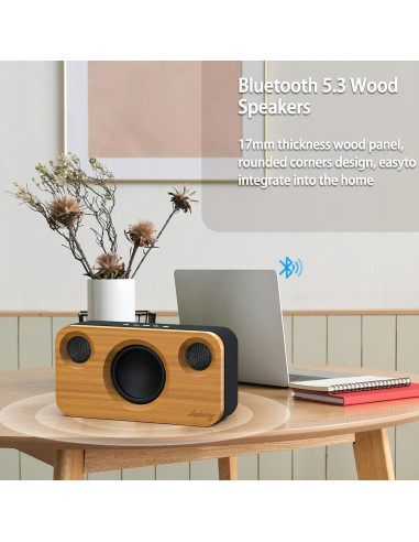 Altavoz Bluetooth Xinborry M10Pro 40W Retro 12h Audio