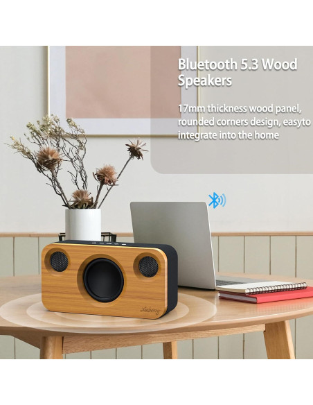 Altavoz Bluetooth Xinborry M10Pro 40W Retro 12h Audio