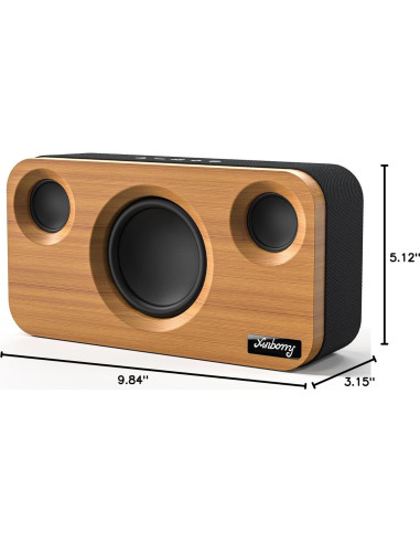 Altavoz Bluetooth Xinborry M10Pro 40W Retro 12h Audio