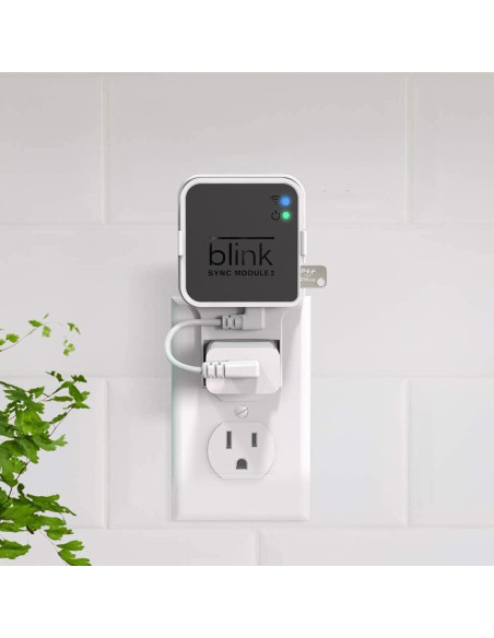 Unidad Flash USB 256GB PEF + Soporte Enchufe Blink 2