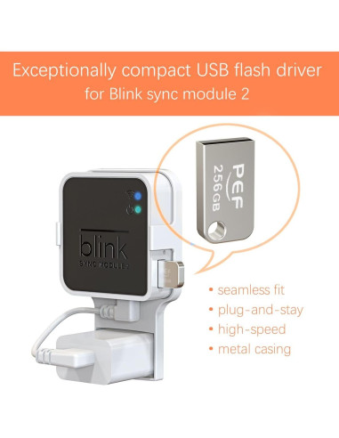 Unidad Flash USB 256GB PEF + Soporte Enchufe Blink 2