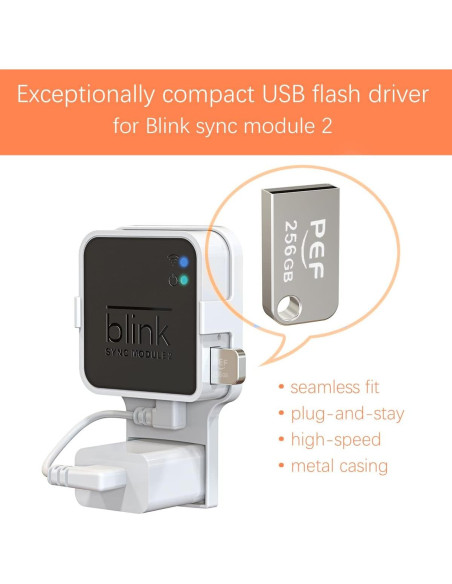 Unidad Flash USB 256GB PEF + Soporte Enchufe Blink 2