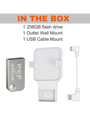 Unidad Flash USB 256GB PEF + Soporte Enchufe Blink 2