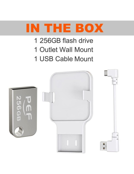 Unidad Flash USB 256GB PEF + Soporte Enchufe Blink 2