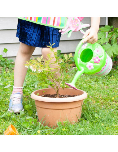 Regadera Infantil Melissa & Doug Bonitas Pétalos 24x16cm