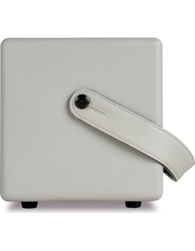 Amplificador MOOER SD30i 30W Bluetooth Portátil con Efectos