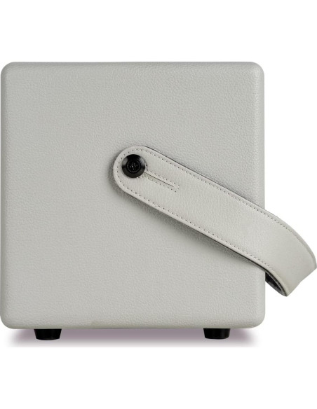 Amplificador MOOER SD30i 30W Bluetooth Portátil con Efectos