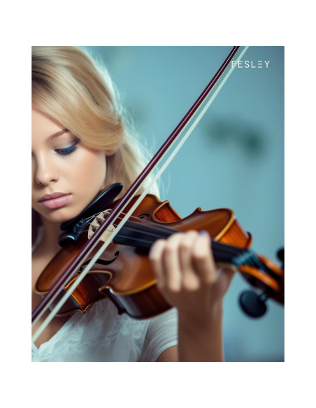 Fesley Violín 4/4 Mate Completo para Principiantes
