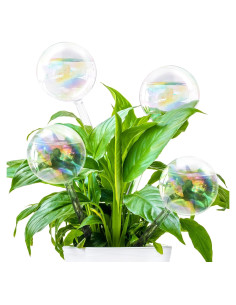 4 Esferas de Riego Pynqdfu de Vidrio 22 cm Arcoíris