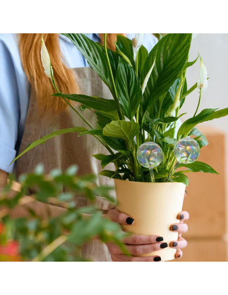 4 Esferas de Riego Pynqdfu de Vidrio 22 cm Arcoíris