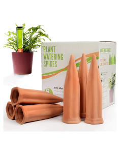 Juego de Regadores de Cerámica Terracota B SEPOR 6 Piezas