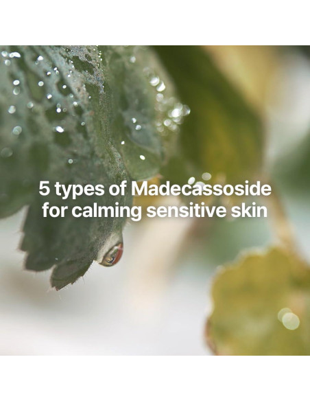 Set Regalo Cuidado Facial Pyunkang Yul Línea Calmante Set Regalo Cuidado Facial Pyunkang Yul Línea Calmante