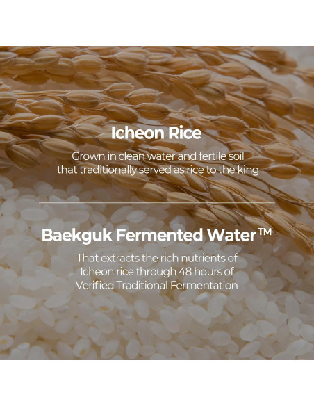 Suero Facial Skinfood Arroz 55ml - Hidratante y Antimanchas Suero Facial Skinfood Arroz 55ml - Hidratante y Antimanchas