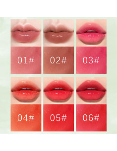 Set de Tinte para Labios Minfei 6 Colores Hidratante 2