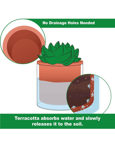 Maceta Autorriego Phoenix Vine 17.78 cm Terracota Cilíndrica