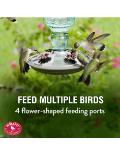 Alimentador de Colibríes Perky-Pet Vidrio Vintage 295 ml 2