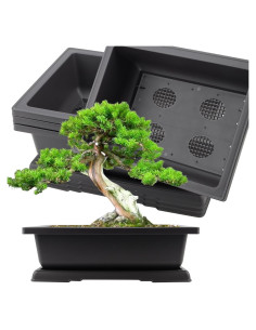 Macetas KINJOEK 3 PCS 35.56 cm para Bonsai con Drenaje