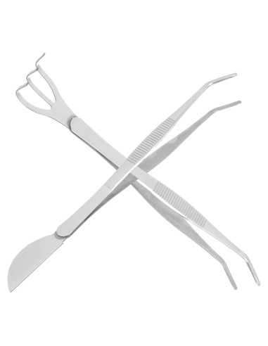 Set de Rastrillo de Bonsai Acero Inoxidable 21.95cm GANAZONO