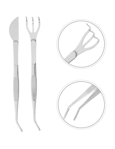 Set de Rastrillo de Bonsai Acero Inoxidable 21.95cm GANAZONO