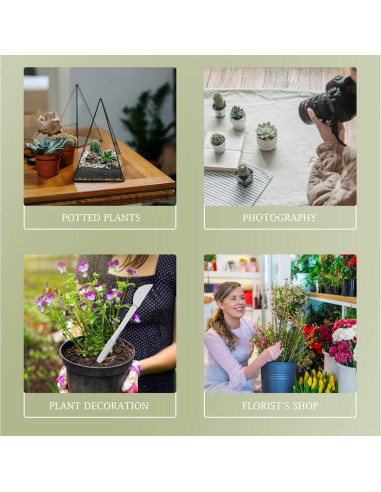 Set de Rastrillo de Bonsai Acero Inoxidable 21.95cm GANAZONO