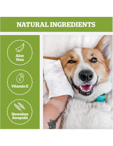 Toallitas Hipoalergénicas Pogi's 240 para Perros Té Verde