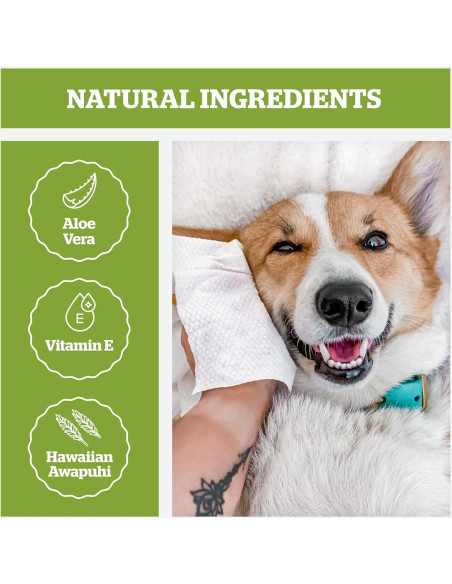 Toallitas Hipoalergénicas Pogi's 240 para Perros Té Verde