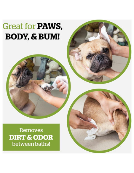 Toallitas Hipoalergénicas Pogi's 240 para Perros Té Verde