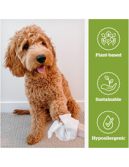 Toallitas Hipoalergénicas Pogi's 240 para Perros Té Verde