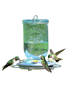 Alimentador de Colibríes Perky-Pet 785 Tarro Mason 0,95L