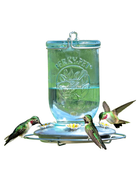 Alimentador de Colibríes Perky-Pet 785 Tarro Mason 0,95L