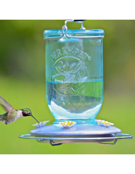 Alimentador de Colibríes Perky-Pet 785 Tarro Mason 0,95L