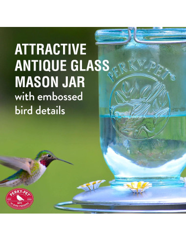 Alimentador de Colibríes Perky-Pet 785 Tarro Mason 0,95L